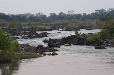 Ormandaki güzel nehir manzarası