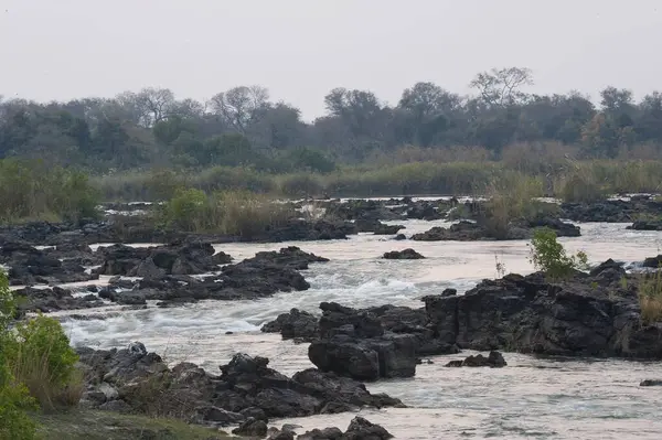 Sabahları nehrin güzel manzarası