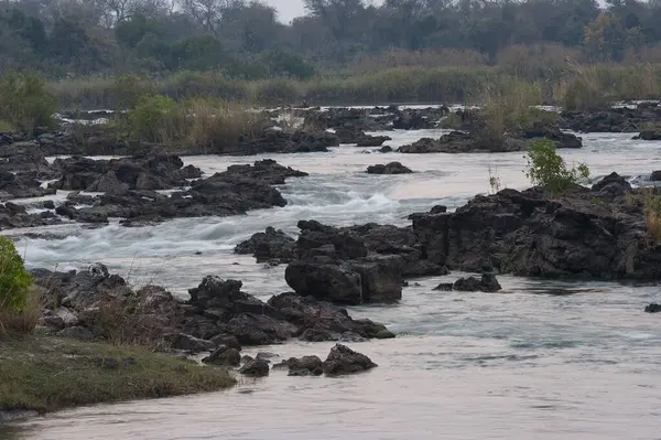 Ormanda güzel bir şelale