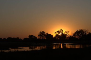 Parkta gün batımı
