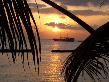 Sahilde güzel bir gün batımı