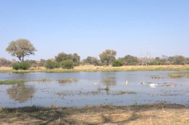 Parktaki güzel göl