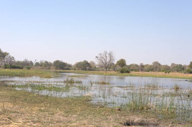 Doğal manzaranın güzel manzarası