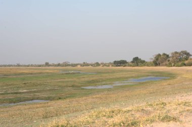 Nehir ve gölü olan güzel bir manzara.