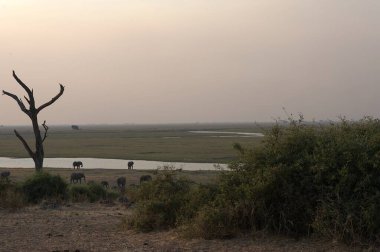 Parktaki nehrin güzel manzarası.