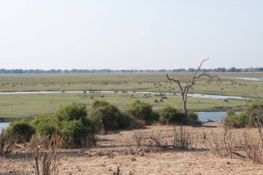 Kenya savanındaki gölün güzel manzarası.