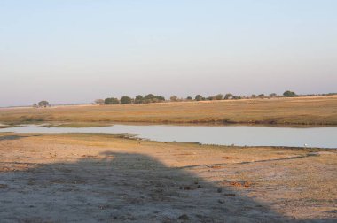 Sabah doğal ortamda güzel bir göl..