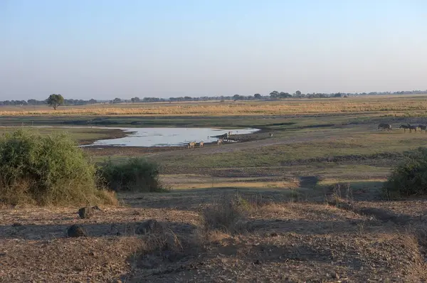 Afrika Vahşi Hayatı, Kruger Ulusal Parkı