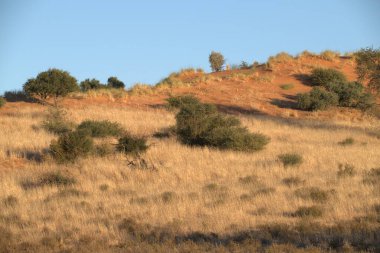 Doğanın güzel manzarası