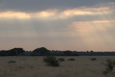 Günbatımı içinde Kruger National Park, Güney Afrika