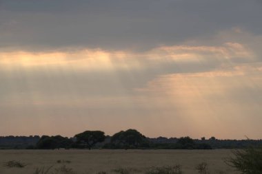 Güneş gökyüzündeki bulutların arasından ışıldar.