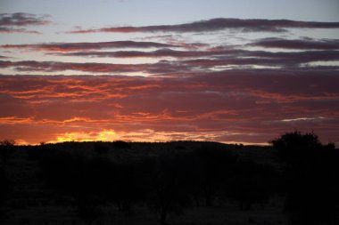Denizin üzerinde güzel bir gün batımı