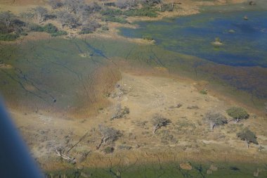 Parkta yeşil çimenleri olan güzel bir göl