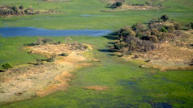 Yazın nehrin havadan görünüşü