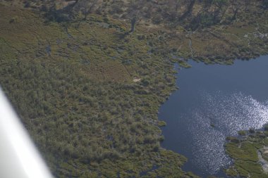 Güzel göl manzarası