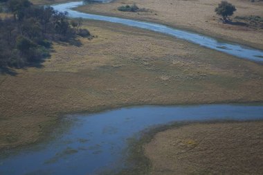 Ormandaki nehrin güzel manzarası
