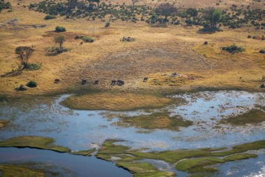 Arkasında nehir olan güzel doğa manzarasının havadan görünüşü
