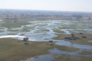 Kenya savanındaki nehir.