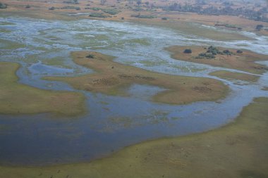 Sabahları nehrin havadan görünüşü