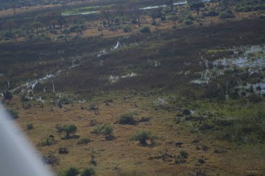 Arka planda ağaçlar olan küçük yeşil bir alanın yüksek açılı görüntüsü.