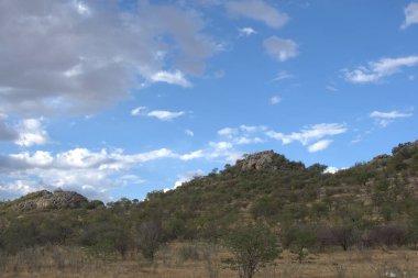İsrail 'in kuzeyindeki Negev Çölü' nün manzarası