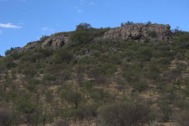 Ağaçlar ve bitkilerle dolu güzel bir dağ manzarası