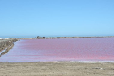 İspanya 'nın kuzeyinde pembe tuz gölü