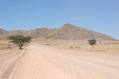 Namibya Çölü 'nde yol