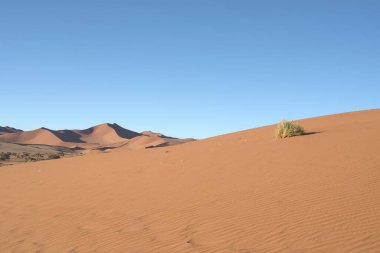 Çölün güzel manzarası