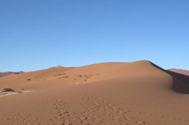 Namib Naukluft Ulusal Parkı, Namibya 'daki güzel kum tepeleri