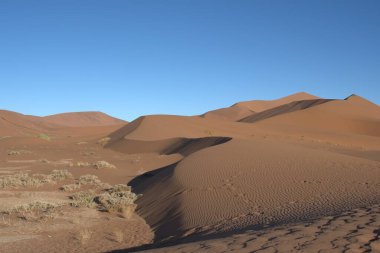 Namib naukluft ulusal parkındaki namib çölünün kum tepeleri, namibya