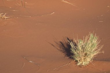 Güzel deniz manzarası