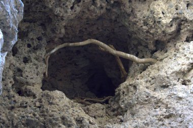 Dağlarda bir mağara