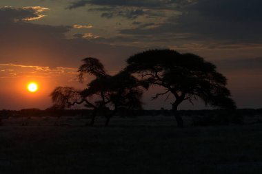 Gölün üzerinde güzel bir gün batımı
