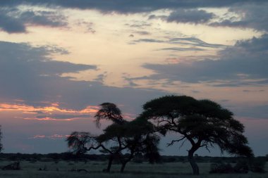 Savanada günbatımı, Kenya