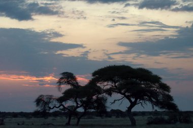 Parkta güzel bir gün batımı