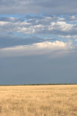 yeşil alan ve gökyüzü