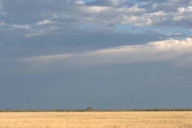 bulutlu ve gökyüzü olan manzara