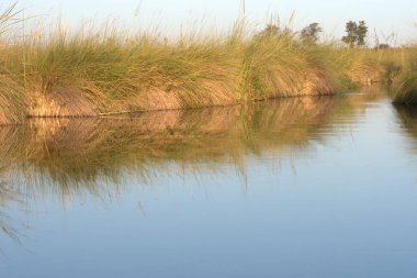 Küçük ağaçlı güzel bir gölet görüntüsü.