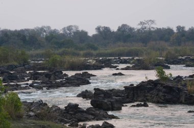 Ormanda güzel bir şelale