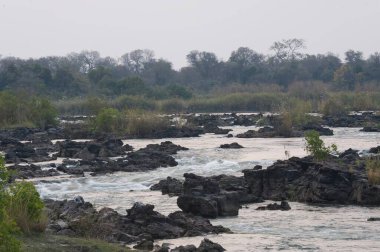 Parktaki nehrin güzel manzarası