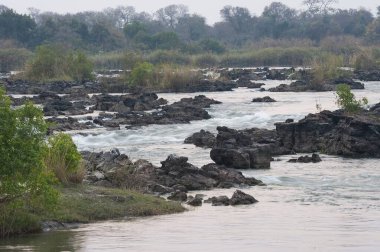 Ormandaki nehrin şelalesi
