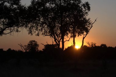 Gölün üzerinde güzel bir gün batımı