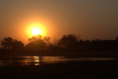 Güney Afrika 'daki Kruger South Park' ta gün doğumu