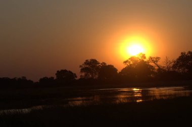 Parkta güzel bir gün batımı