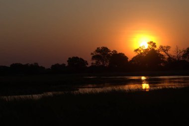 Ön planda bir ağaç ve ön planda ön planda küçük bir ağaç olan güzel bir gündoğumu.