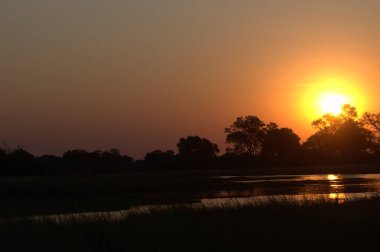 Parkta gün batımı