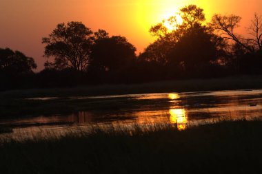 Nehirde gün batımı, doğa, manzara