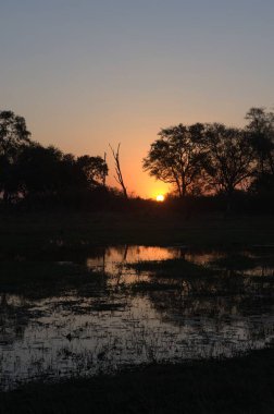günbatımı Güney Afrika kruger Milli Parkı içinde