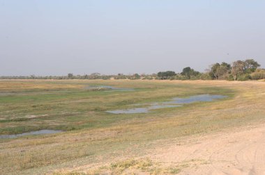 Çöldeki nehrin güzel manzarası